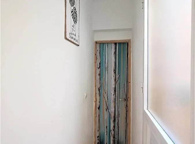 El Palo Estudio *